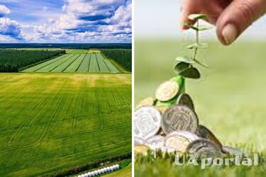 Пенсионеров освободили от уплаты одного из налогов: о чем идет речь