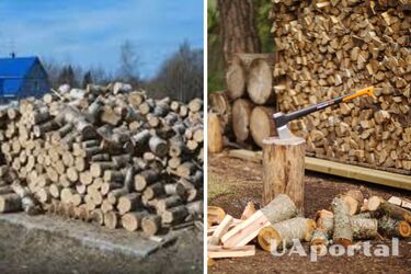 Кто имеет право получить дрова от государства и куда обращаться