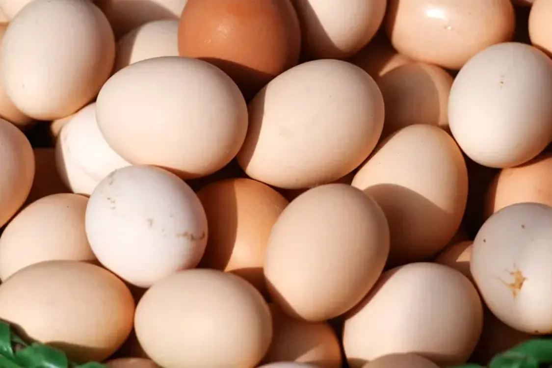 В Украине продолжает расти стоимость популярного продукта: сколько стоит