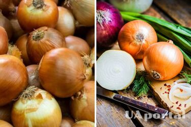 В Украине подорожал популярный овощ: какая цена за килограмм