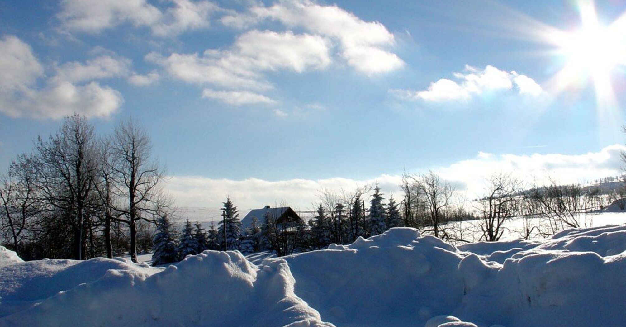 Мокрий сніг та дощі: прогноз погоди в Україні на 7 січня   
