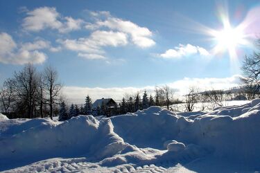 Мокрий сніг та дощі: прогноз погоди в Україні на 7 січня