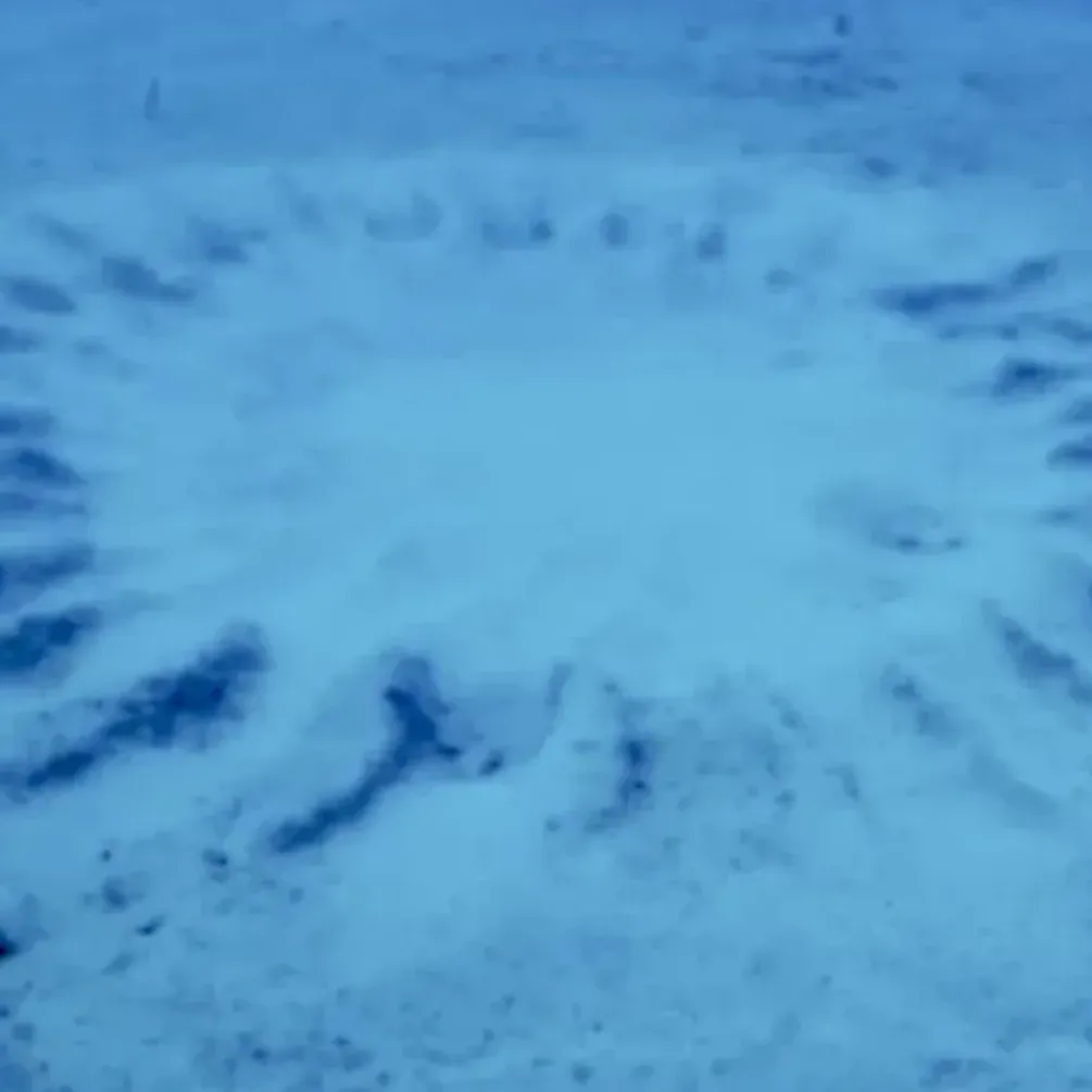 В Японии обнаружили подводные 'круги на полях': что это такое (фото)