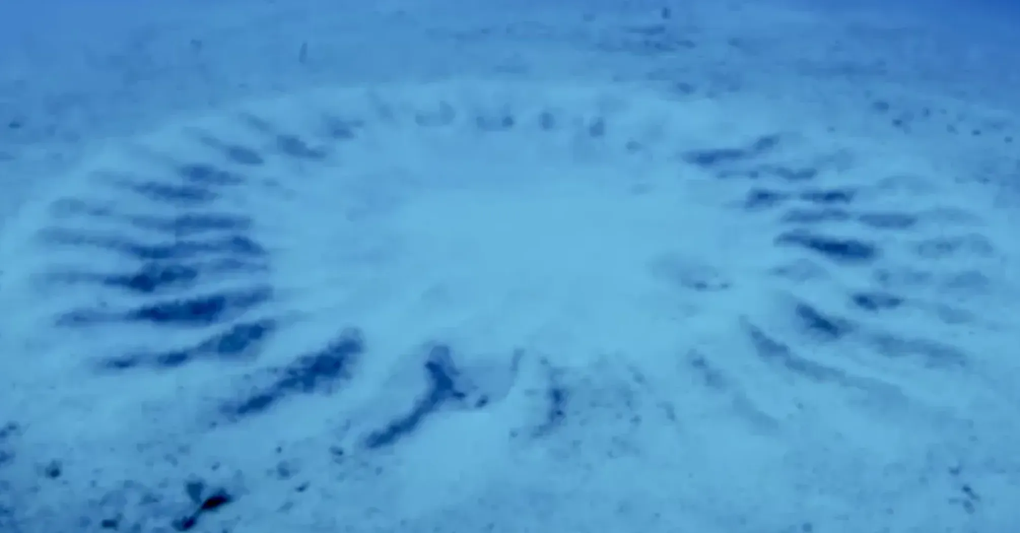 У Японії виявили підводні 'кола на полях': що це таке (фото)