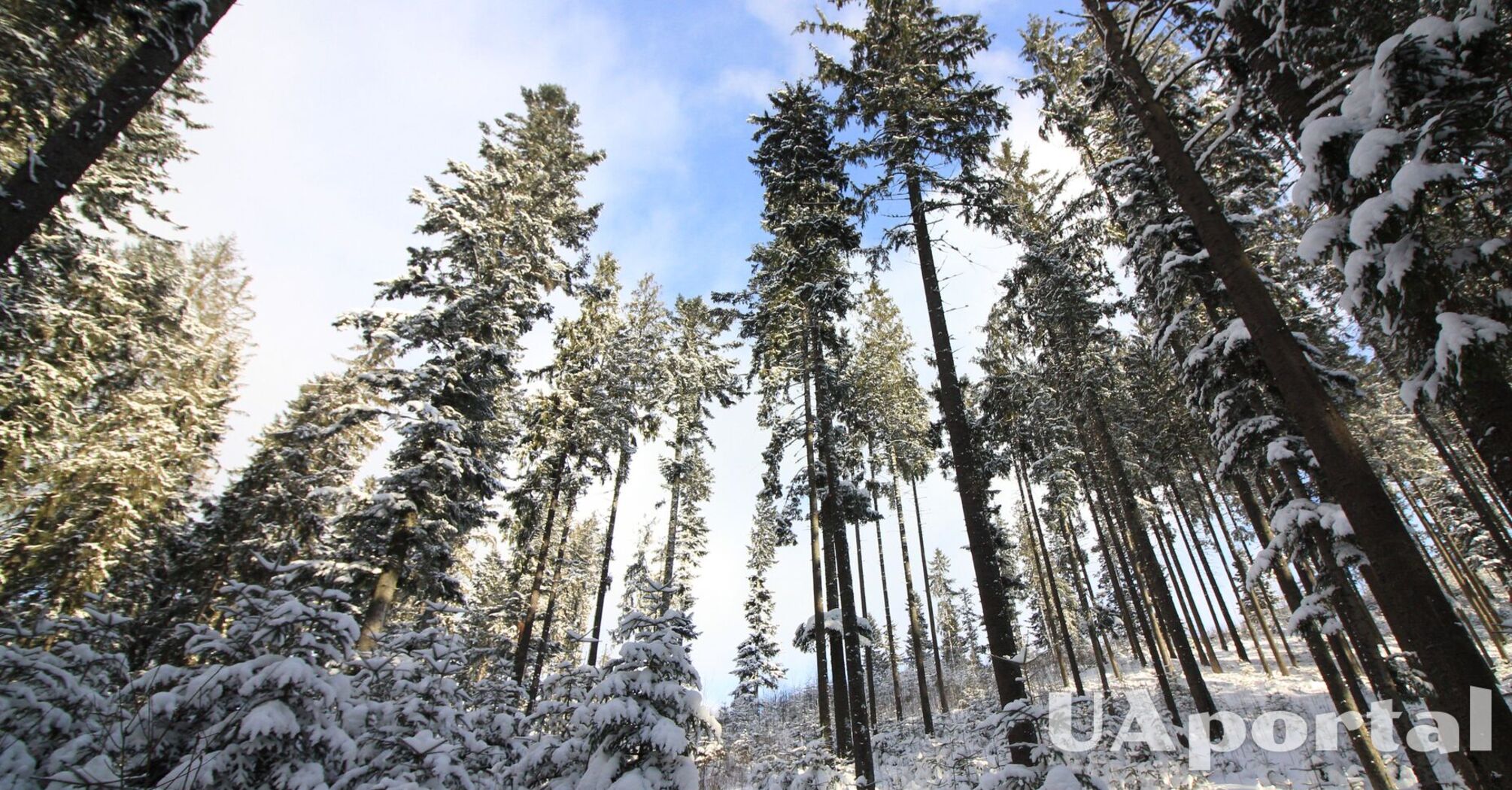 До 23 градусов мороза: прогноз погоды в Украине на 10 января