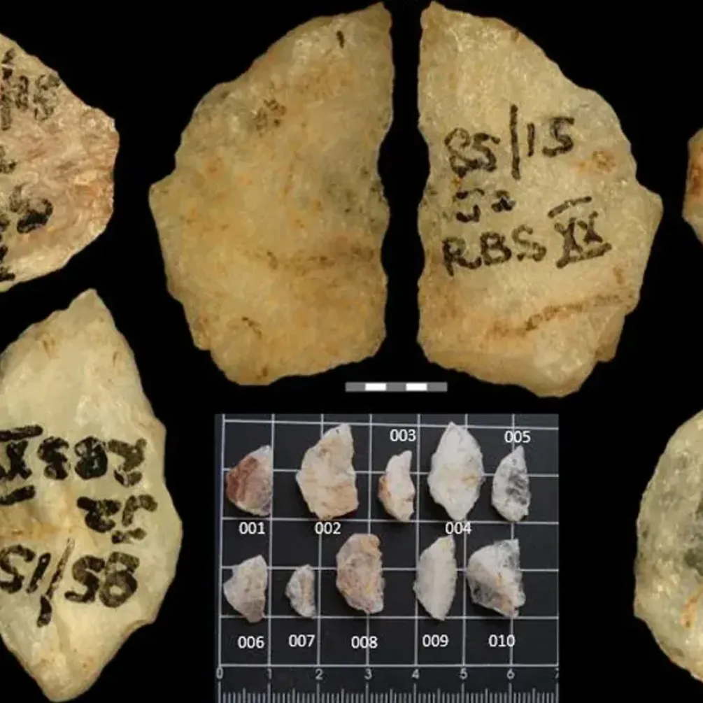 Древні люди використовували отруйні стріли ще 60 тисяч років тому: як про це дізнались (фото)