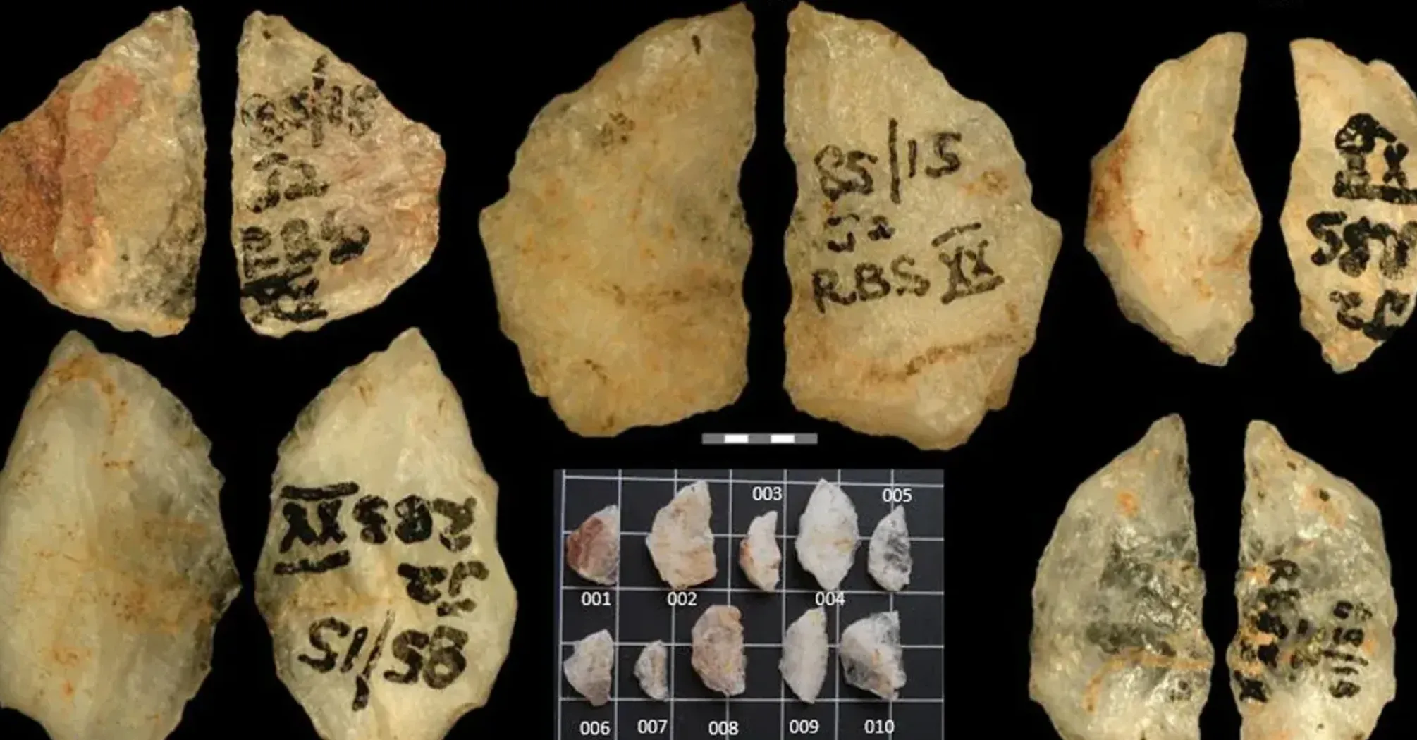 Древні люди використовували отруйні стріли ще 60 тисяч років тому: як про це дізнались (фото)