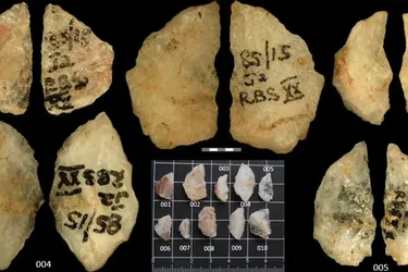 Древні люди використовували отруйні стріли ще 60 тисяч років тому: як про це дізнались (фото)