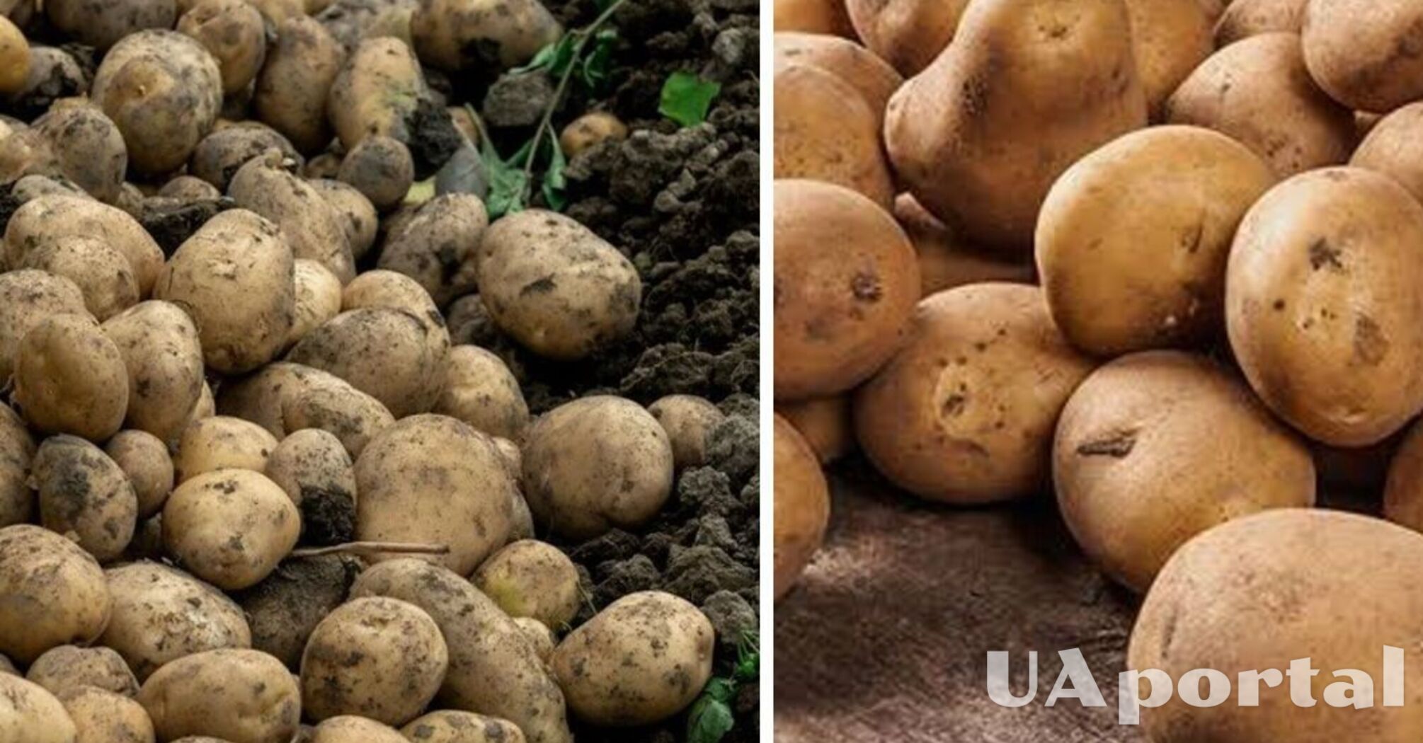 В Украине может вырасти стоимость популярного продукта: сколько будет стоить