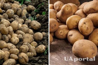 В України може зрости вартість популярного продукту: скільки коштуватиме