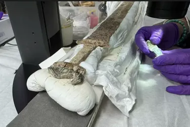 В Англии нашли рунический меч в возрасте 1500 лет (фото)