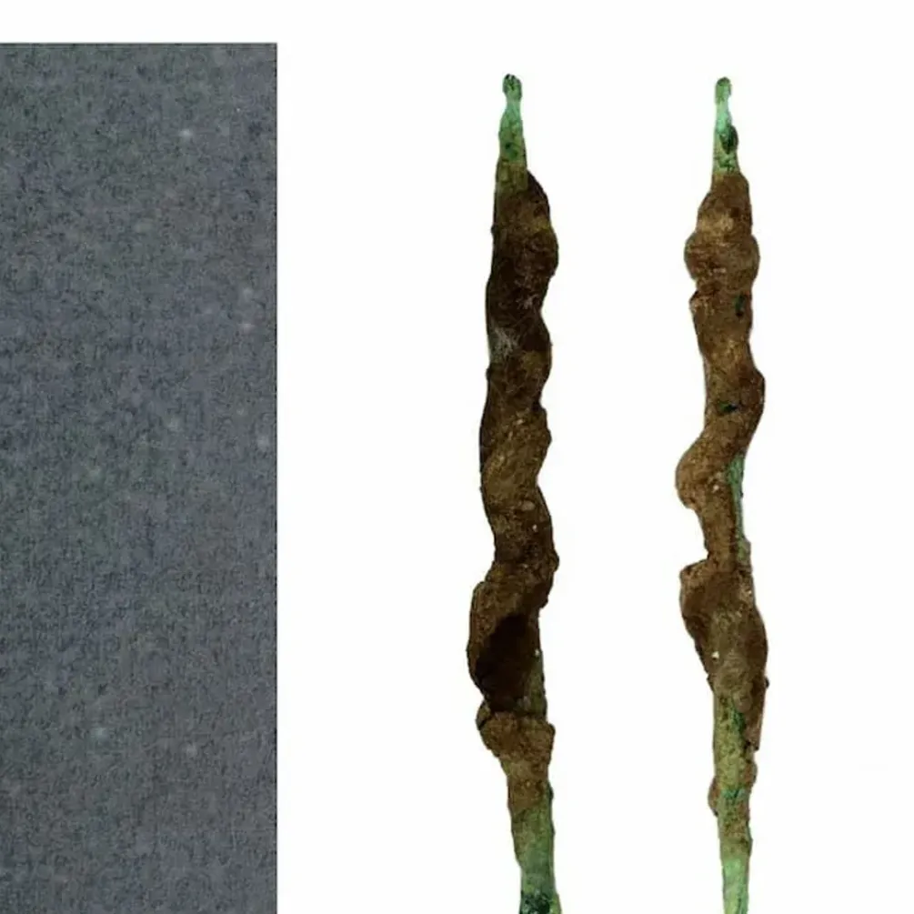 В Єгипті виявили свердло віком 5300 років: чим унікальне (фото)