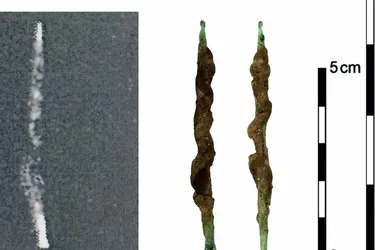 В Єгипті виявили свердло віком 5300 років: чим унікальне (фото)