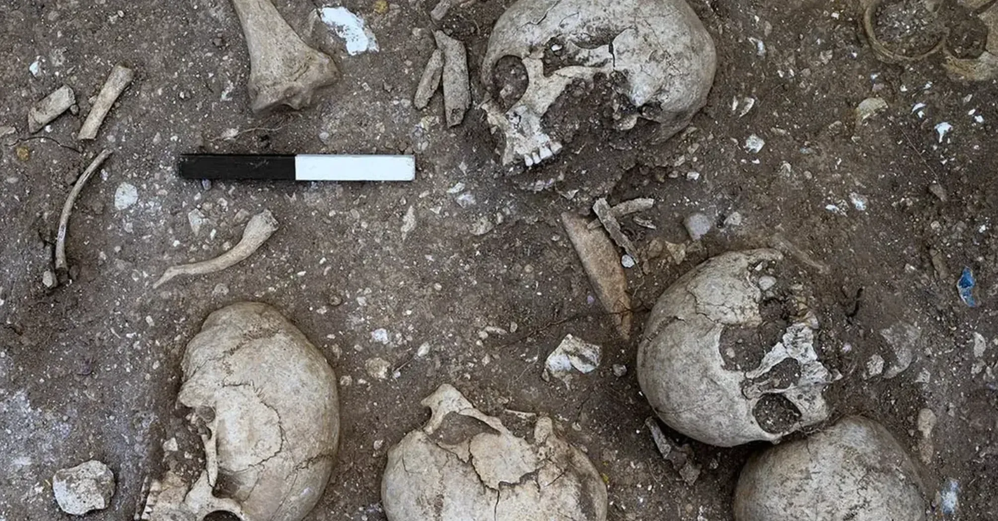 В Англии обнаружили братскую могилу времен викингов: чем интересна (фото)