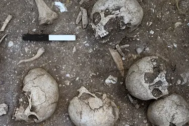 В Англії виявили братську могилу часів вікінгів: чим цікава (фото)