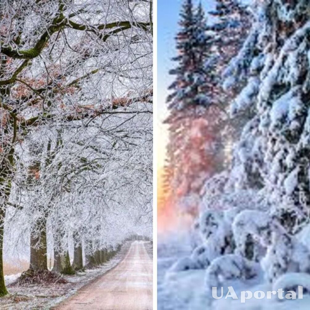 Снег и до 8 мороза: прогноз погоды в Украине на 14 февраля