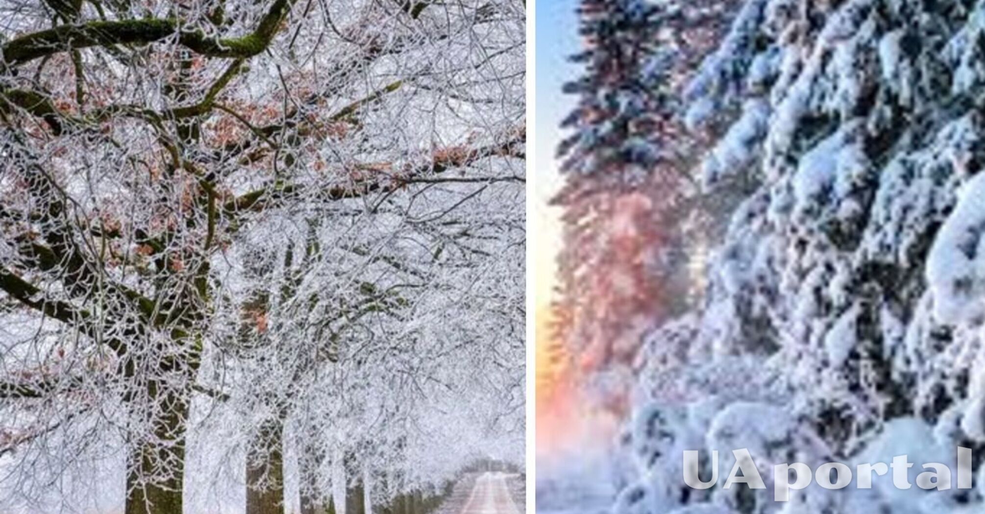 Снег и до 8 мороза: прогноз погоды в Украине на 14 февраля