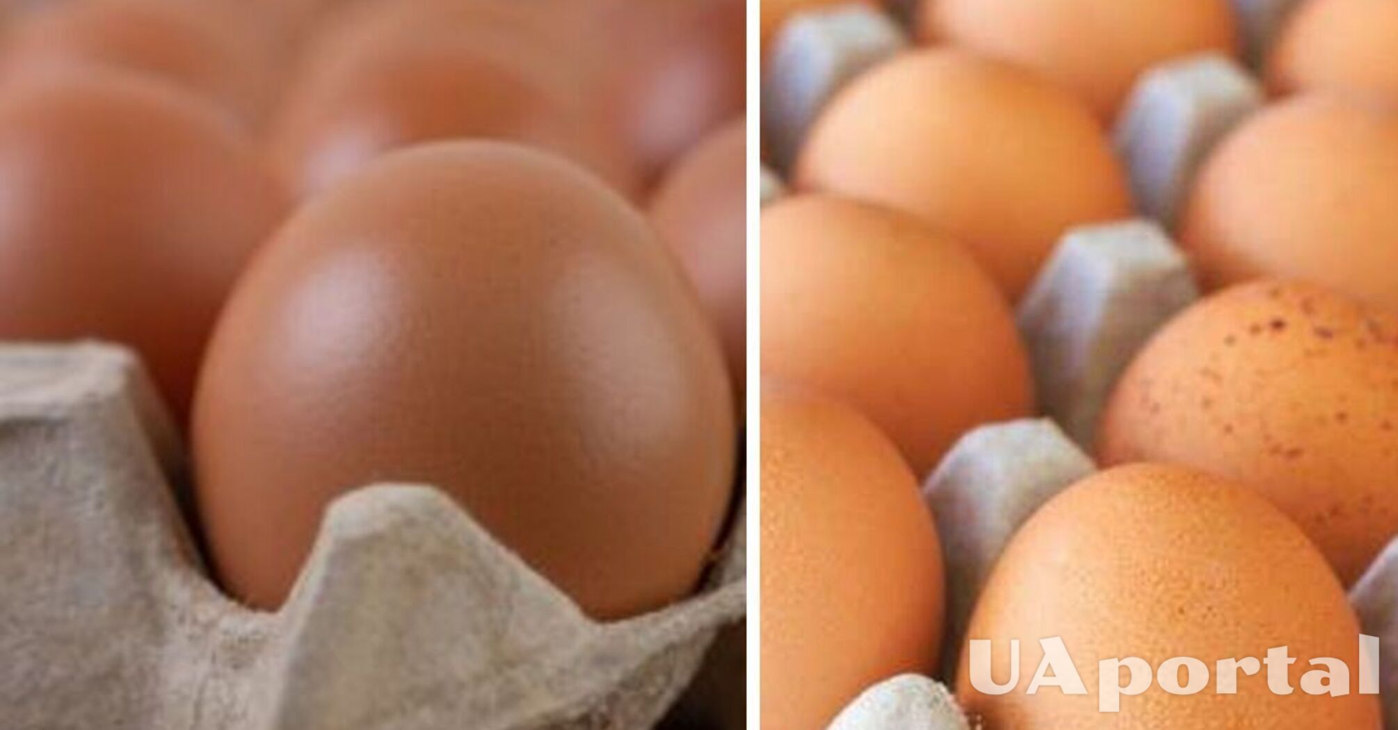 В Україні знову спостерігається стрибок цін на яйця: скільки коштують  