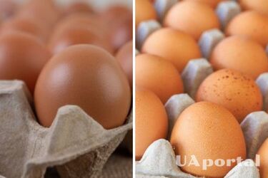 В Україні знову спостерігається стрибок цін на яйця: скільки коштують