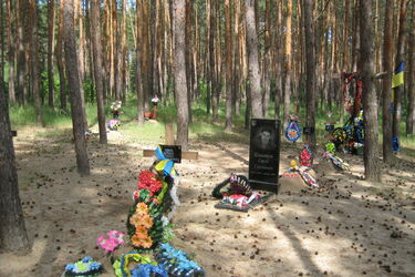 Історія Луганщини просякнута горем: СРСР знищував поляків, а Росія творить геноцид українців