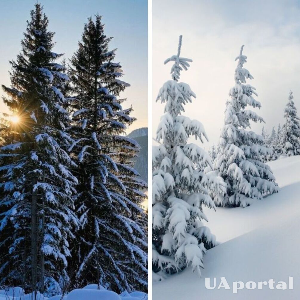 На Украину снова надвигаются сильные морозы и осадки: чего ждать и когда