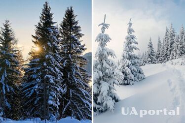 На Украину снова надвигаются сильные морозы и осадки: чего ждать и когда