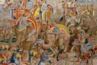 Бойові слони Ганнібала існували: в Іспанії виявили рештки тварин (фото)