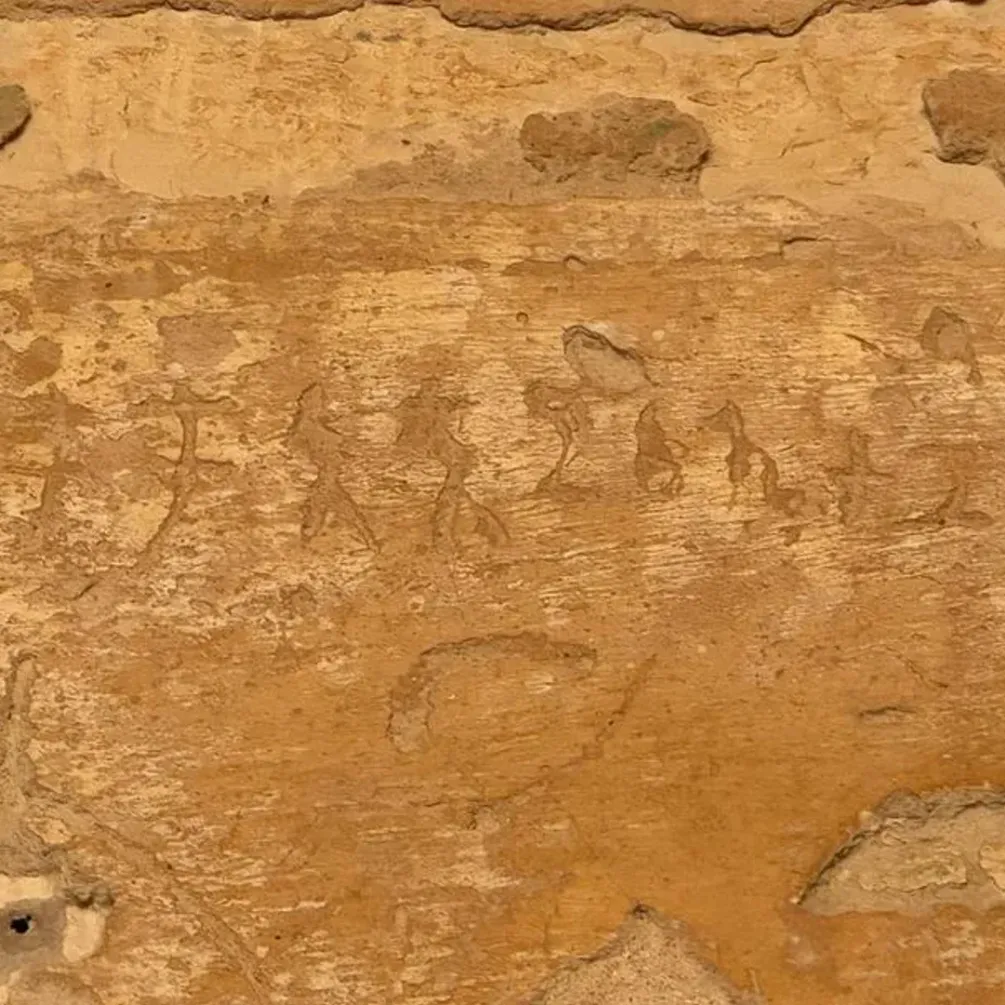 У Єгипті виявили унікальні індійські надписи 1-3 століття (фото)