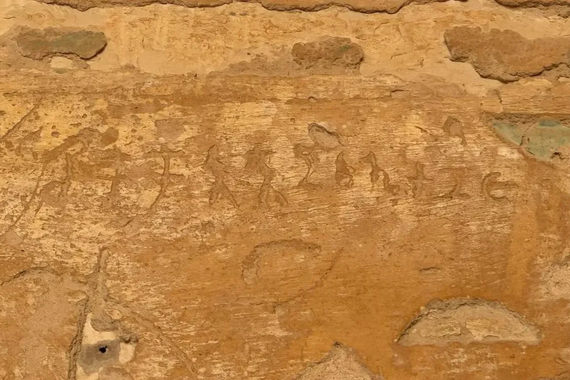 В Египте обнаружили уникальные индийские надписи 1-3 века (фото)