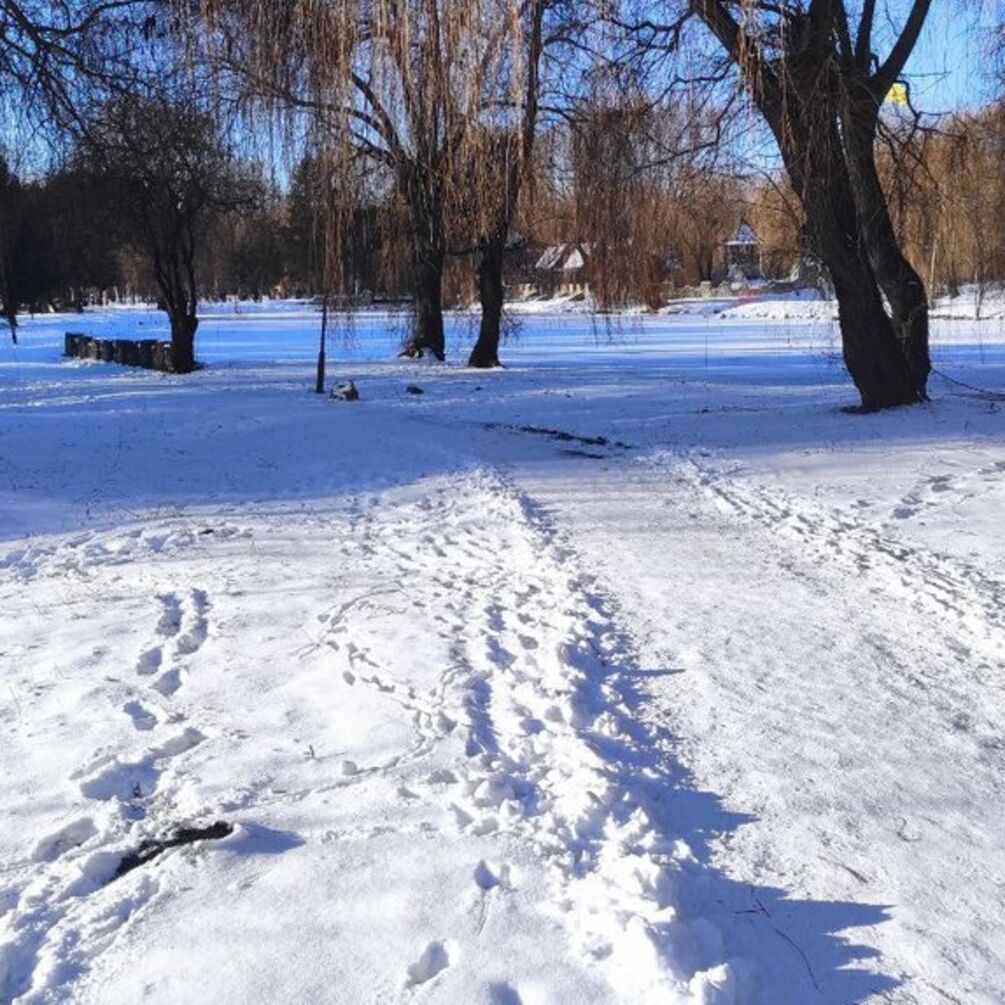 Снігопади, сильний вітер та хуртовини: прогноз погоди на 18 лютого