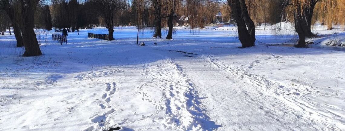 Снегопады, сильный ветер и метели: прогноз погоды на 18 февраля