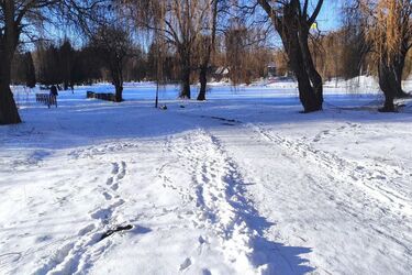 Снігопади, сильний вітер та хуртовини: прогноз погоди на 18 лютого
