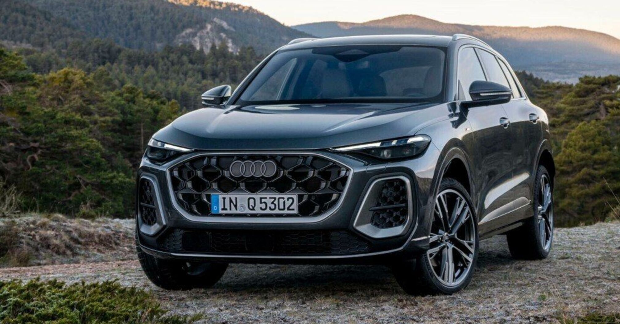 Какие бензиновые автомобили самые популярные в Украине