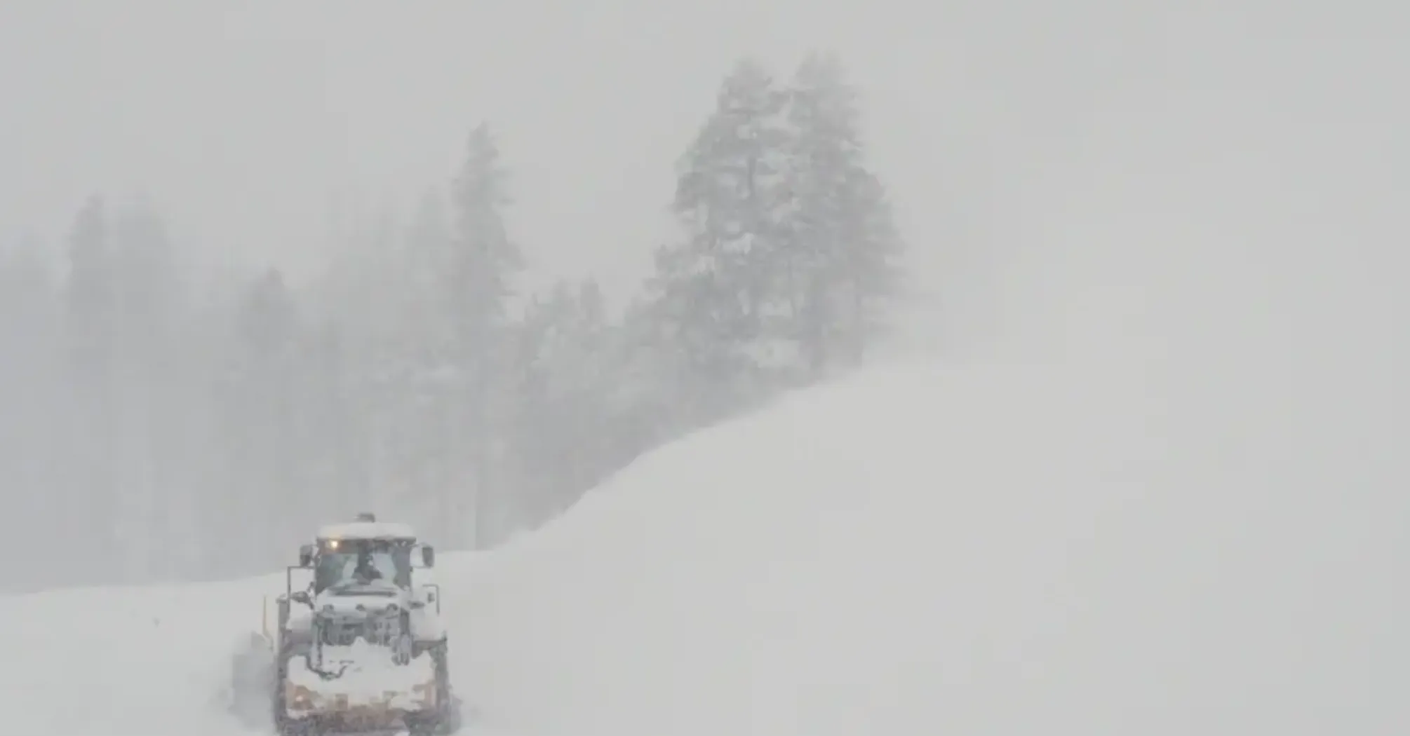 Лавина накрыла группу лыжников в Калифорнии: восемь человек погибли (фото)