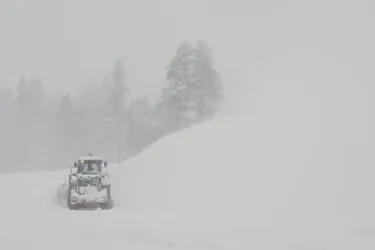 Лавина накрила групу лижників у Каліфорнії: восьмеро людей загинуло (фото)