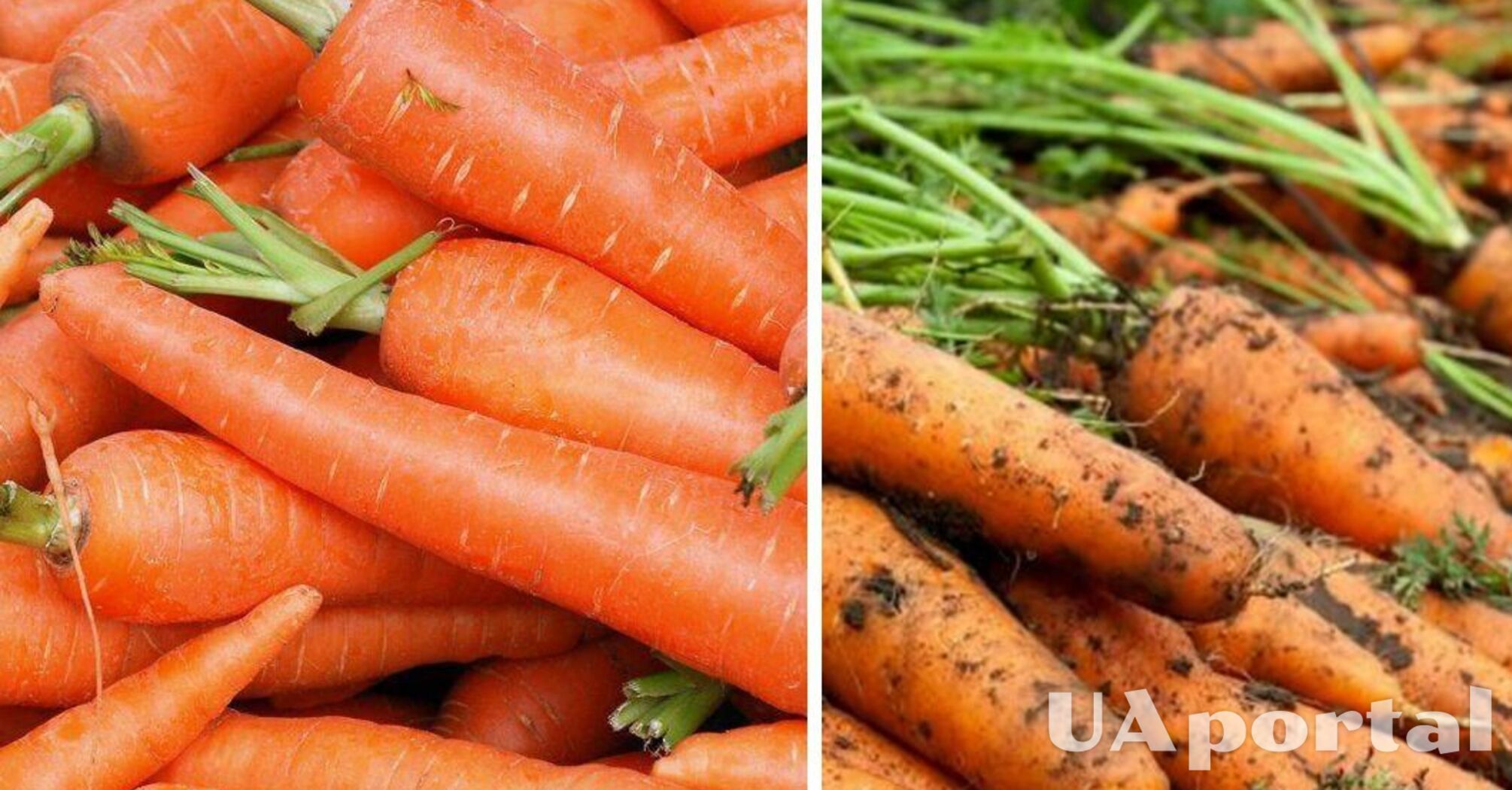 В Украине подорожал популярный овощ: какая цена за килограмм