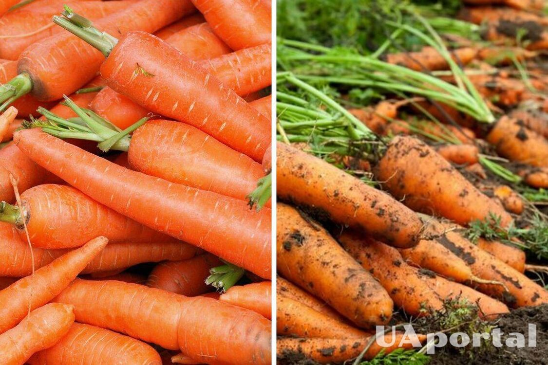 В Україні подорожчав популярний овоч: яка ціна за кілограм