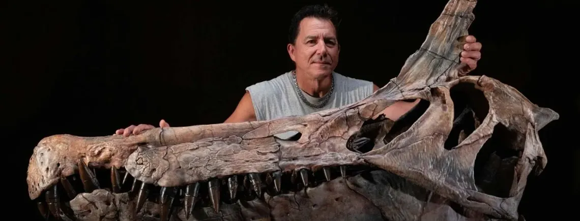 У Сахарі виявили унікальну скамʼянілість динозавра віком 66 мільярдів років (фото)