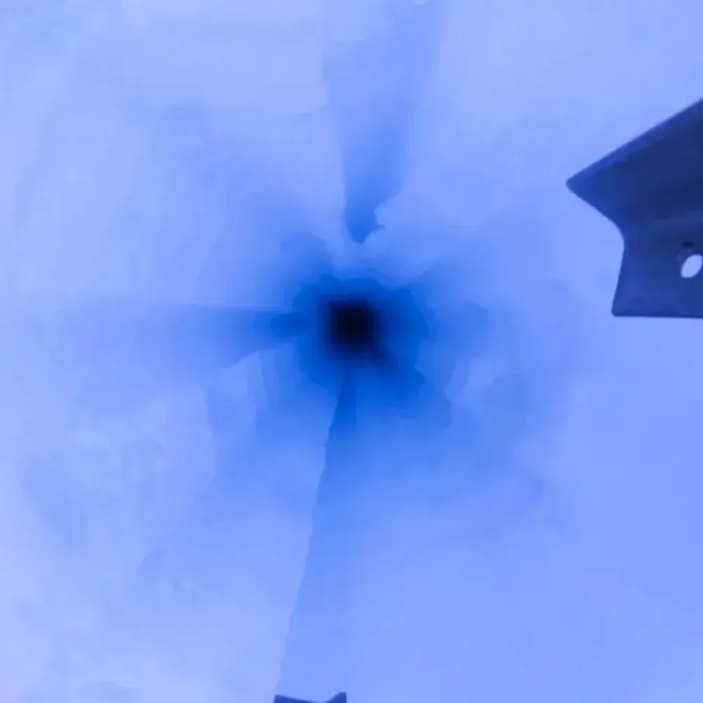 Ученые пробурили антарктический лед и были поражены увидевшим (фото)