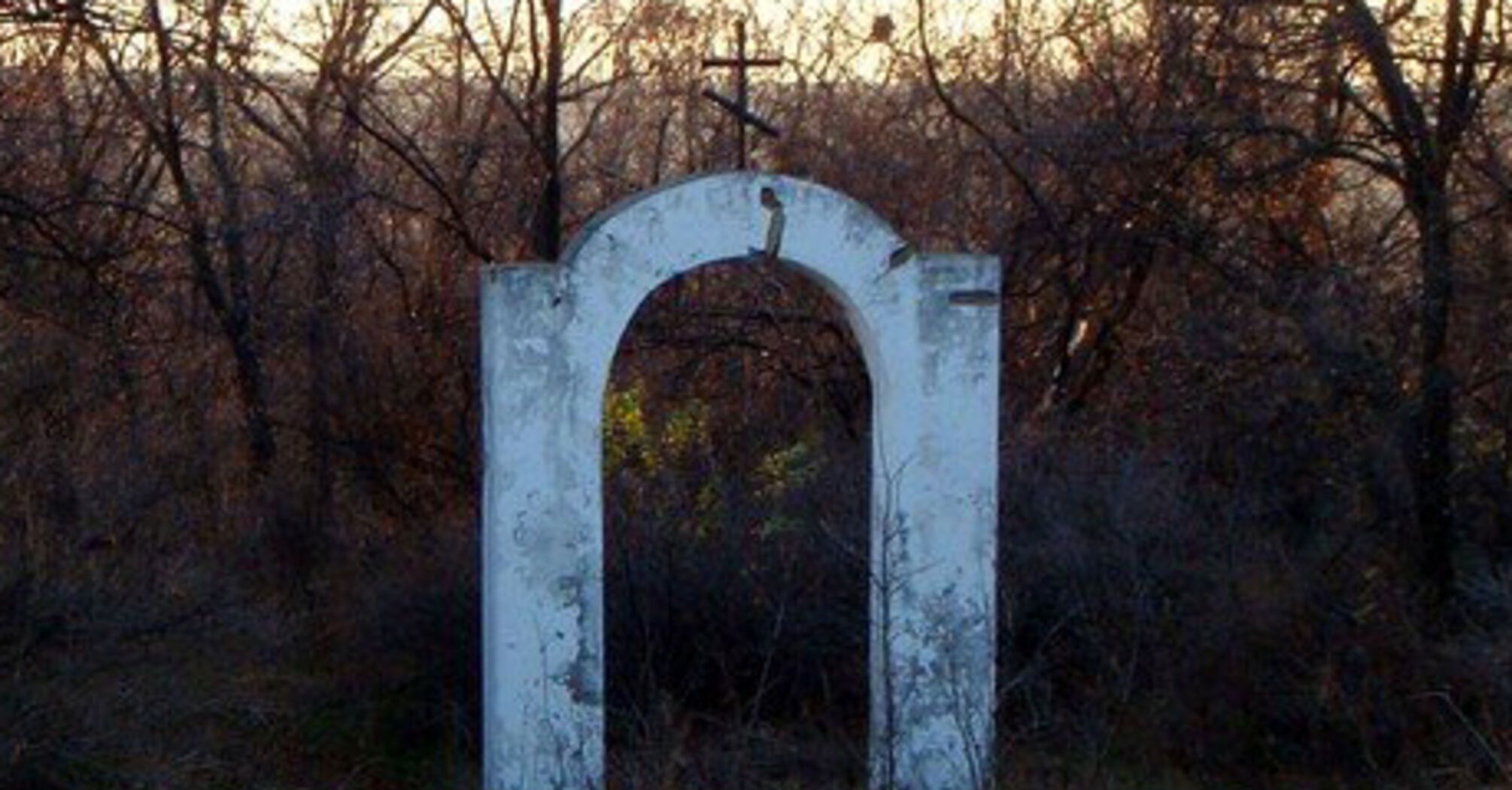 Черная правда Луганщины: место, где убили десятки тысяч украинцев