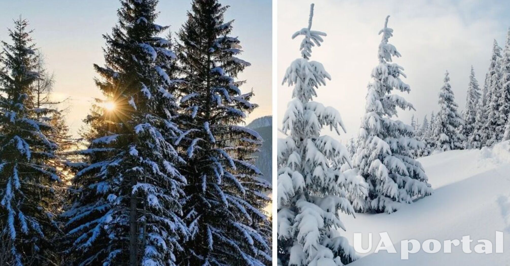 Різкі перепади температури та змішані опади: Україну очікують погодні 'гойдалки'  