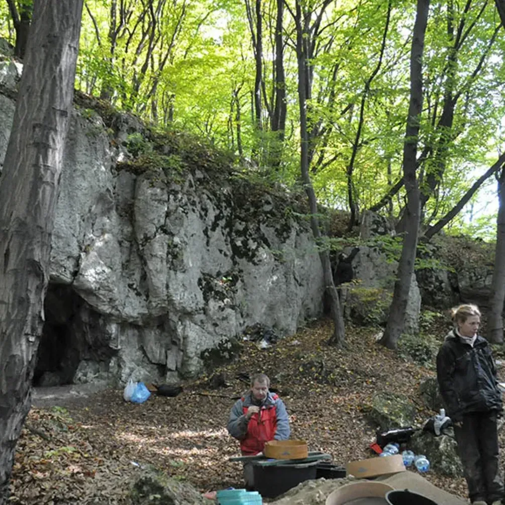 В Польше жили каннибалы: ученые нашли подтверждение жуткой догадке (фото)