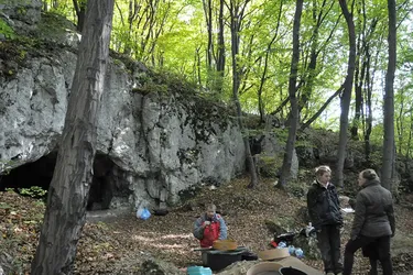 У Польщі жили канібали: науковці знайшли підтвердження моторошній здогадці (фото)