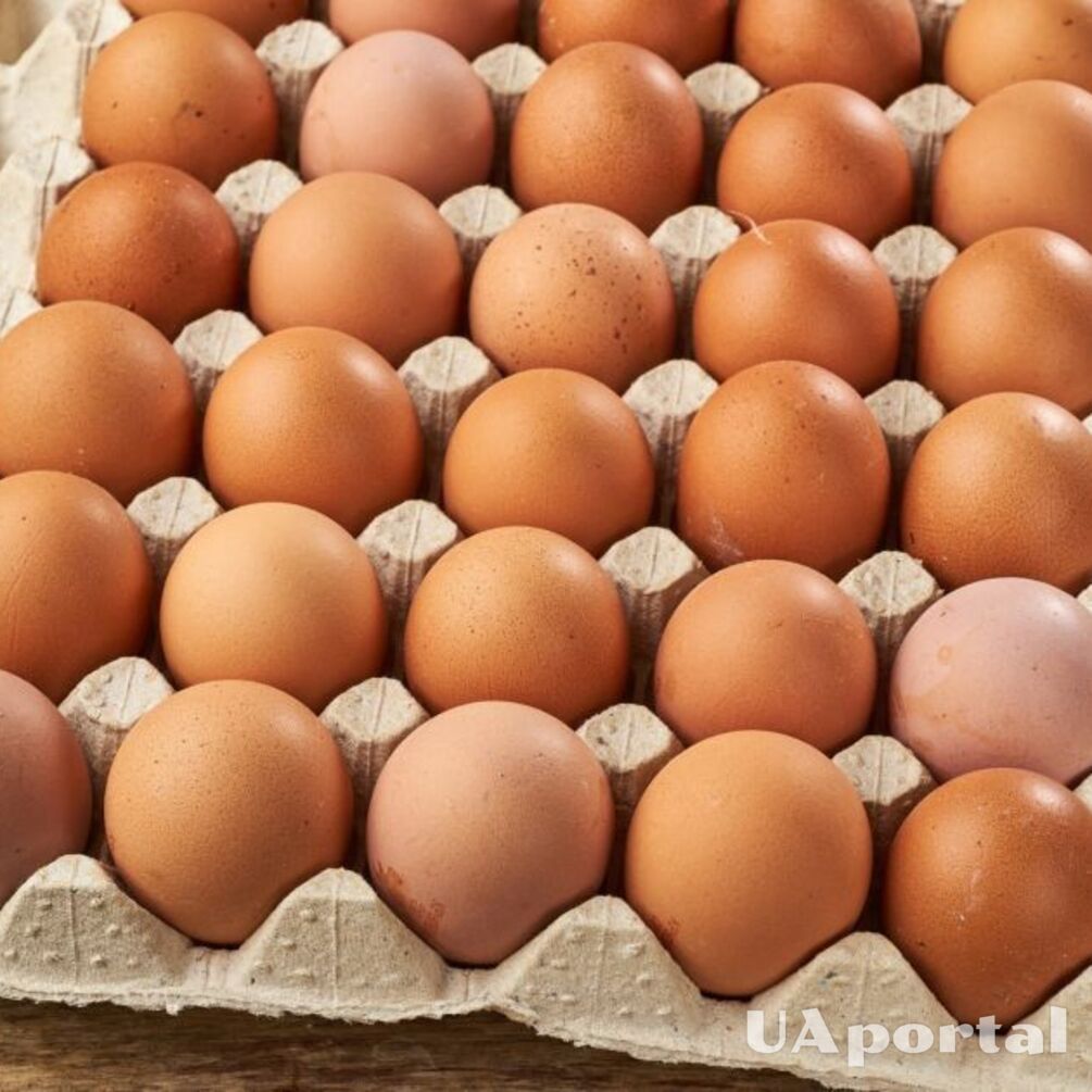 В Украине продолжают дорожать яйца: какая цена