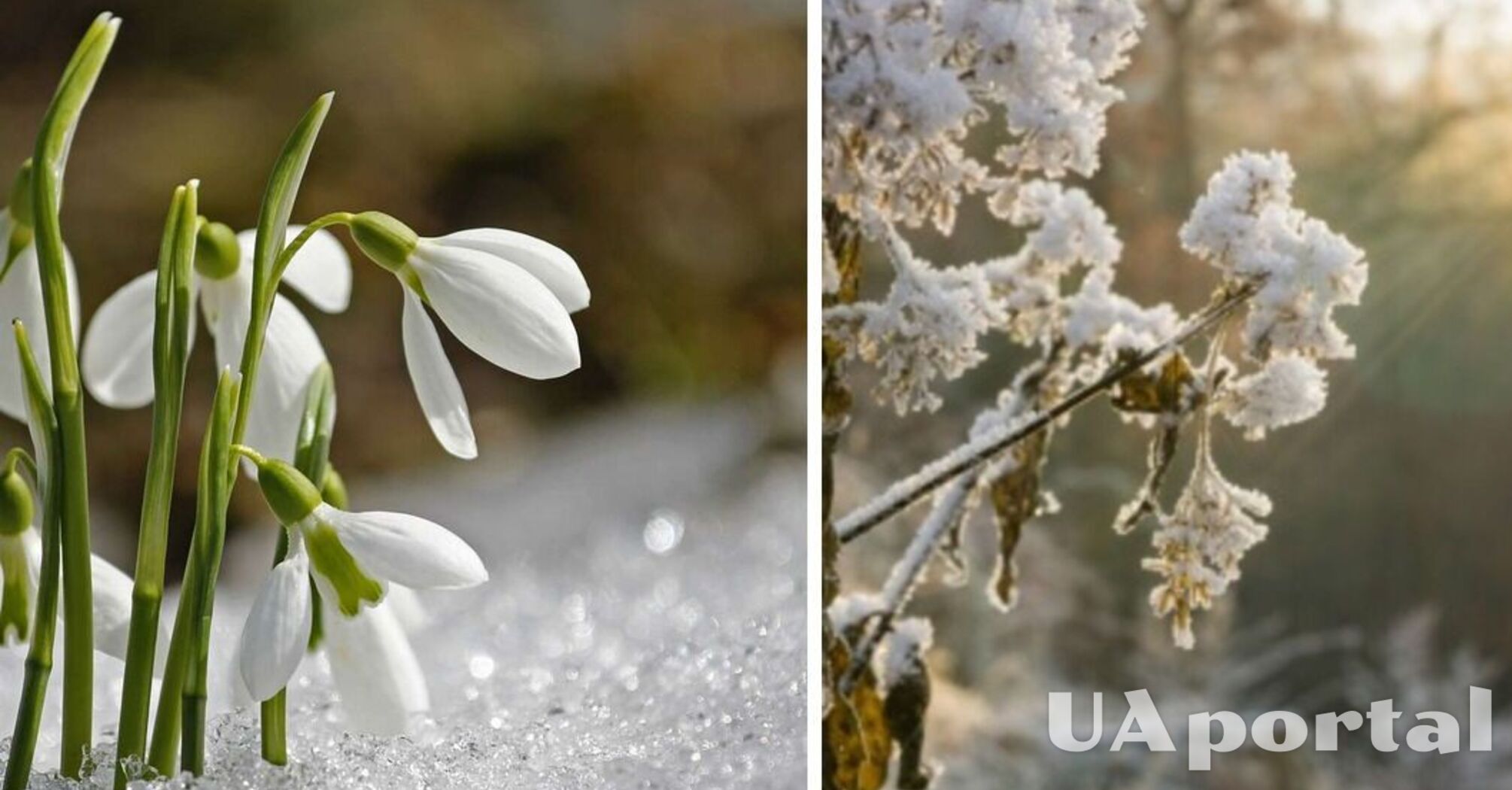 Дожди и снег: синоптики рассказали, какими будут первые дни весны в Украине
