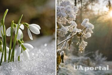 Дожди и снег: синоптики рассказали, какими будут первые дни весны в Украине