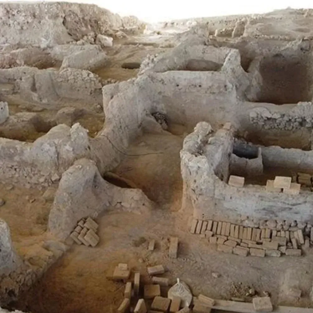 На территории Анатолии нашли старейшую ткань, окрашенную в индиго: чем уникальна (фото)