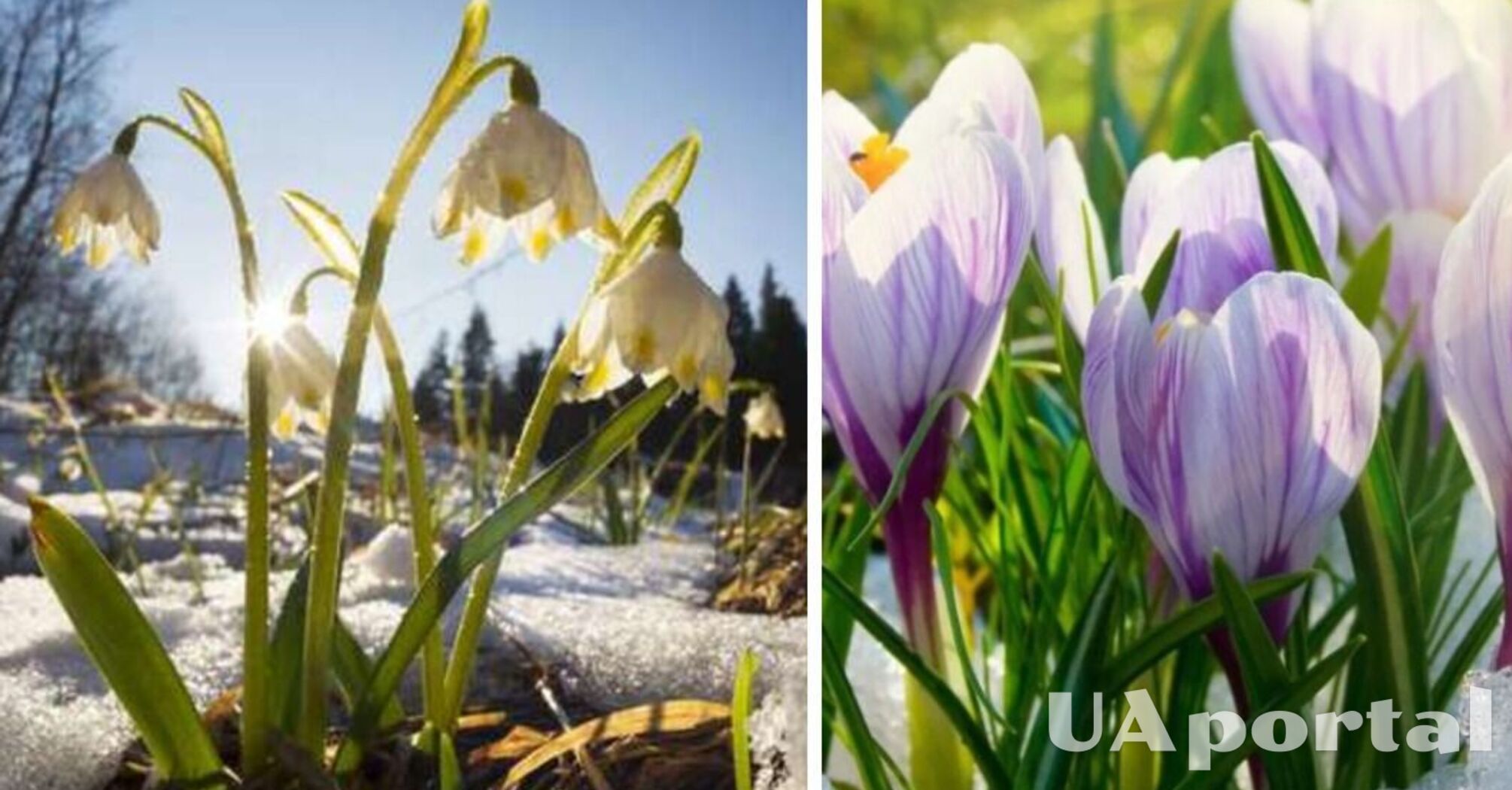 До 13 градусів морозу: Україну знову накриють холоди у березні  