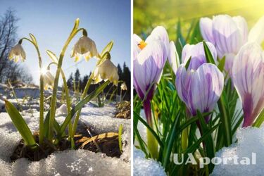 До 13 градусів морозу: Україну знову накриють холоди у березні