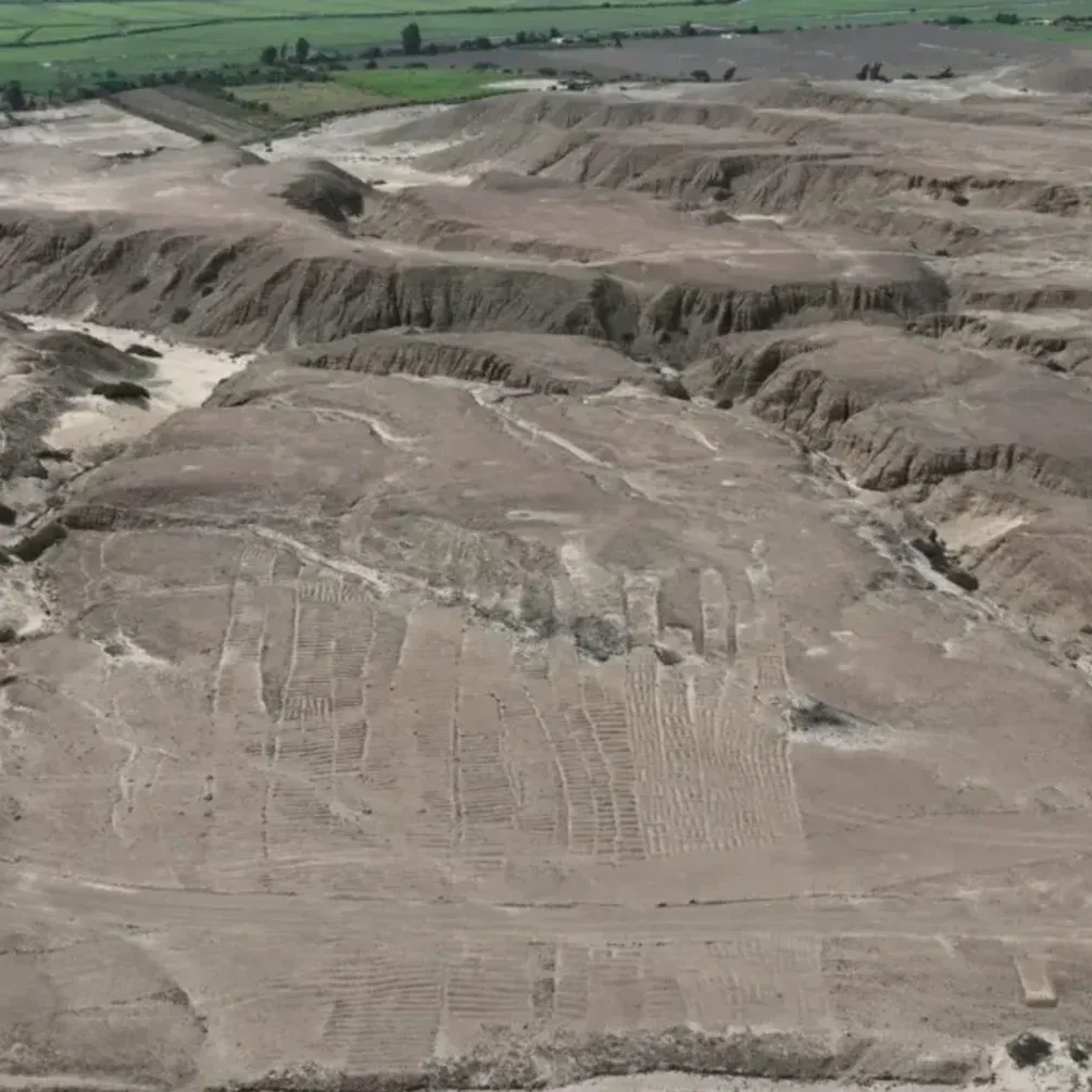 В Перу обнаружили священный комплекс Чима: чем интересен (фото)